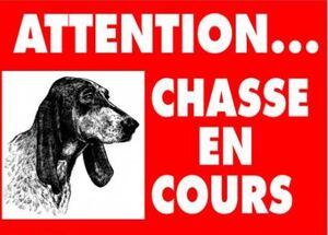 Battue de chasse b.jpg