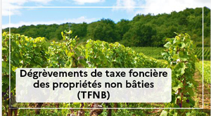 Dégrèvement TFPNB 2024 10 05 Copie