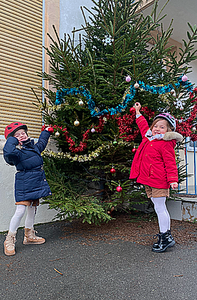 2024 12 23 sapin participatif 2a